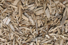 biomass boilers Manuden